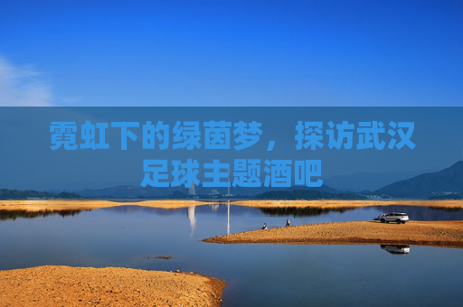 霓虹下的绿茵梦,探访武汉足球主题酒吧
