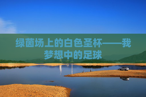 绿茵场上的白色圣杯——我梦想中的足球