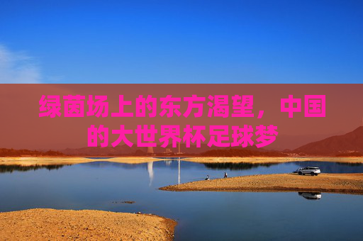 绿茵场上的东方渴望,中国的大世界杯足球梦