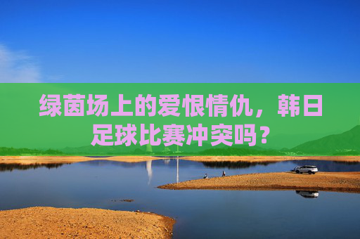 绿茵场上的爱恨情仇,韩日足球比赛冲突吗?