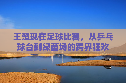 王楚现在足球比赛,从乒乓球台到绿茵场的跨界狂欢