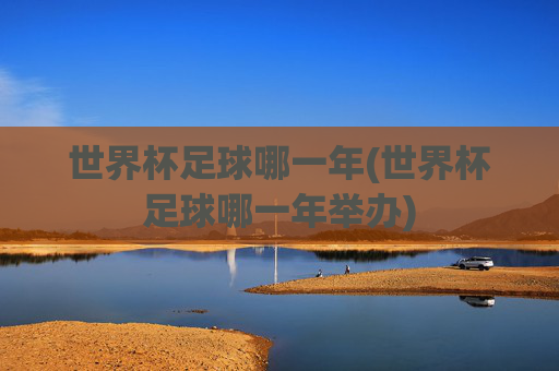 世界杯足球哪一年(世界杯足球哪一年举办)