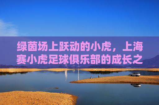绿茵场上跃动的小虎,上海赛小虎足球俱乐部的成长之路