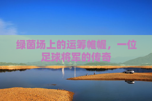 绿茵场上的运筹帷幄,一位足球将军的传奇
