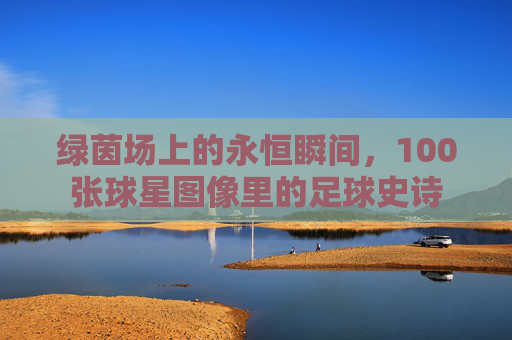 绿茵场上的永恒瞬间,100张球星图像里的足球史诗