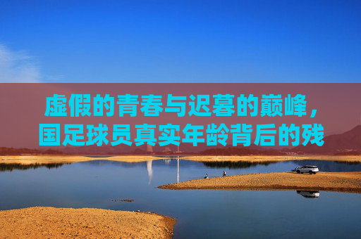 虚假的青春与迟暮的巅峰,国足球员真实年龄背后的残酷真相