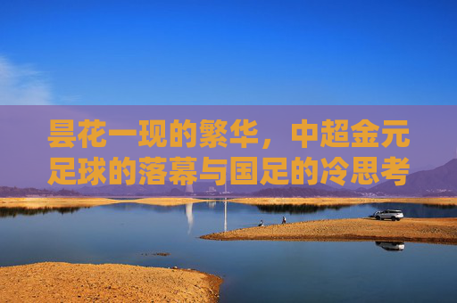 昙花一现的繁华,中超金元足球的落幕与国足的冷思考