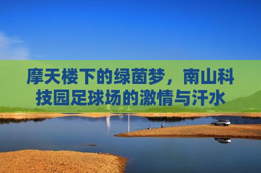 摩天楼下的绿茵梦,南山科技园足球场的激情与汗水
