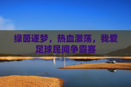 绿茵逐梦,热血激荡,我爱足球民间争霸赛
