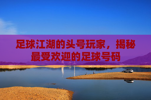 足球江湖的头号玩家,揭秘最受欢迎的足球号码