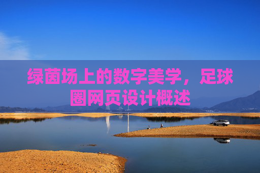 绿茵场上的数字美学,足球圈网页设计概述