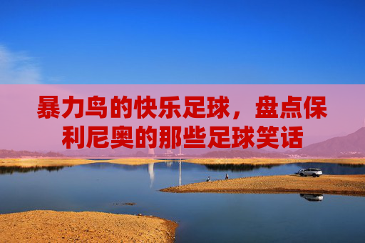 暴力鸟的快乐足球,盘点保利尼奥的那些足球笑话