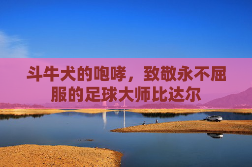 斗牛犬的咆哮,致敬永不屈服的足球大师比达尔