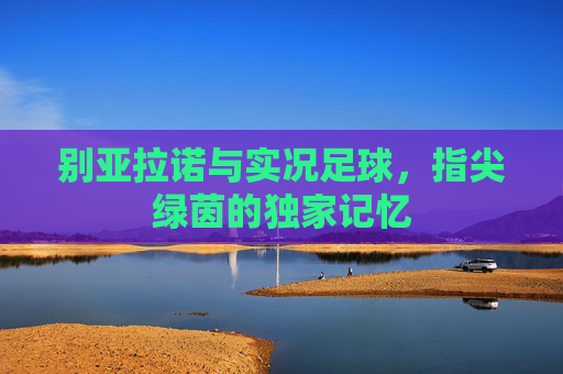 别亚拉诺与实况足球,指尖绿茵的独家记忆