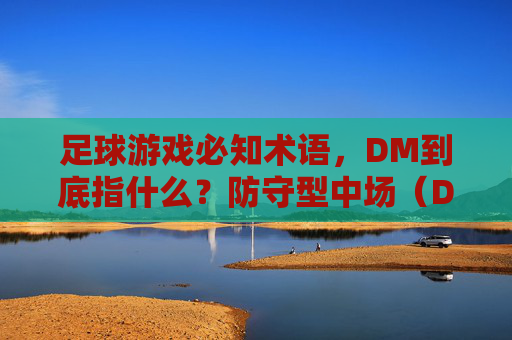 足球游戏必知术语,DM到底指什么?防守型中场(Defensive Midfielder)全解析