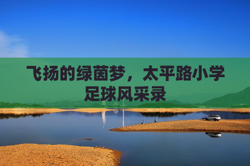 飞扬的绿茵梦,太平路小学足球风采录