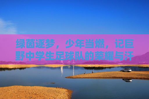 绿茵逐梦,少年当燃,记巨野中学生足球队的荣耀与汗水