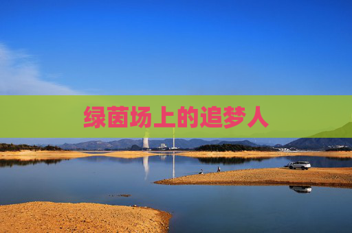 绿茵场上的追梦人