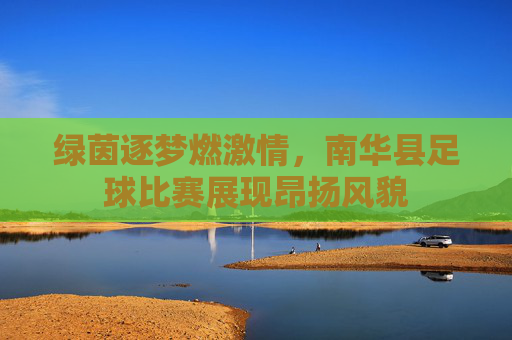 绿茵逐梦燃激情,南华县足球比赛展现昂扬风貌