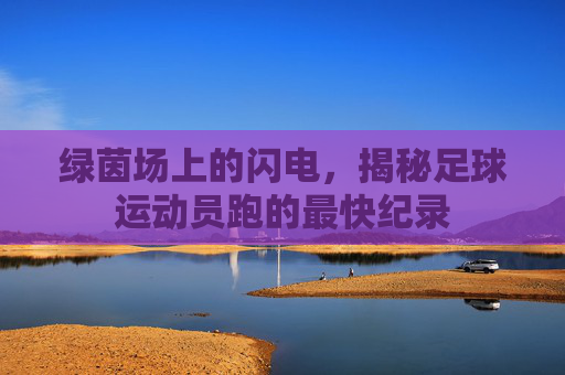 绿茵场上的闪电,揭秘足球运动员跑的最快纪录