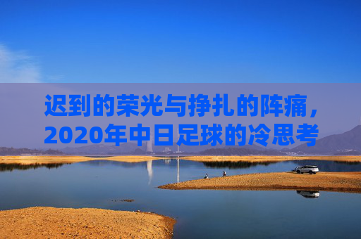 迟到的荣光与挣扎的阵痛,2020年中日足球的冷思考