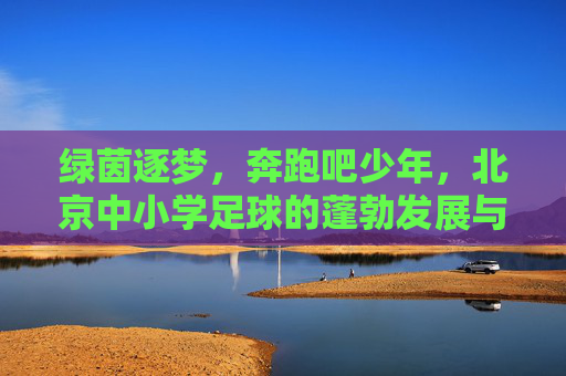绿茵逐梦,奔跑吧少年,北京中小学足球的蓬勃发展与未来展望