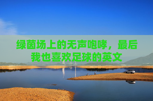 绿茵场上的无声咆哮,最后我也喜欢足球的英文