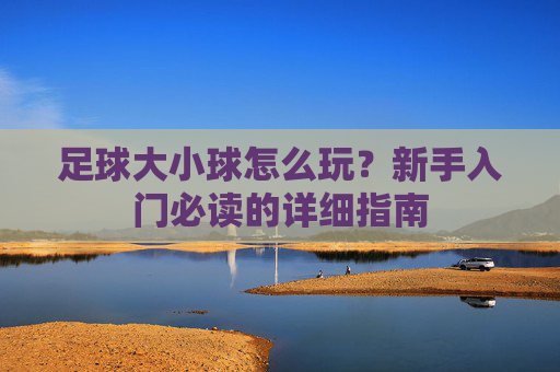 足球大小球怎么玩?新手入门必读的详细指南