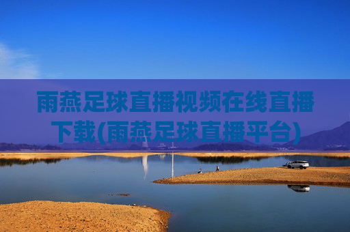 雨燕足球直播视频在线直播下载(雨燕足球直播平台)