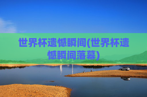 世界杯遗憾瞬间(世界杯遗憾瞬间落幕)