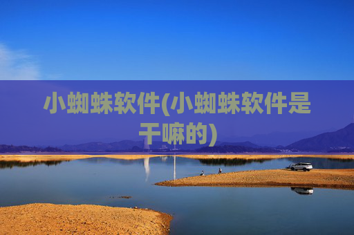 小蜘蛛软件(小蜘蛛软件是干嘛的)
