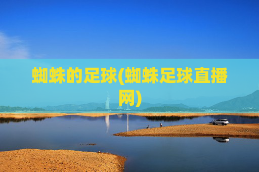 蜘蛛的足球(蜘蛛足球直播网)