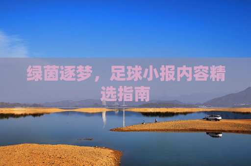 绿茵逐梦,足球小报内容精选指南