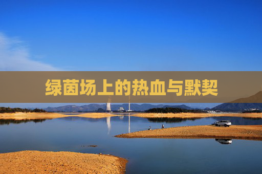 绿茵场上的热血与默契