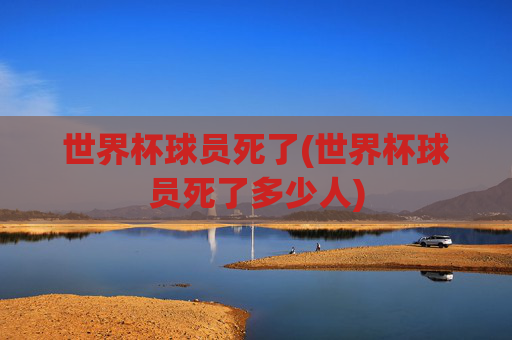 世界杯球员死了(世界杯球员死了多少人)