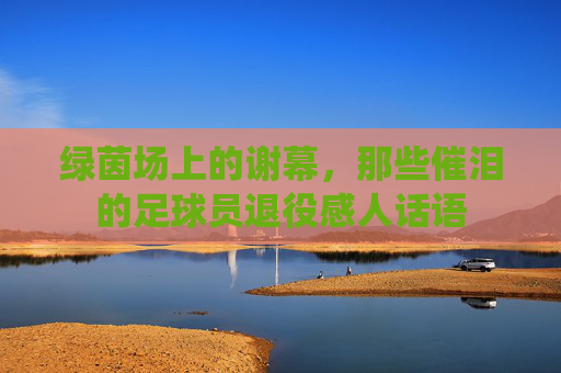 绿茵场上的谢幕,那些催泪的足球员退役感人话语