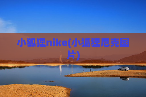 小狐狸nike(小狐狸尼克图片)