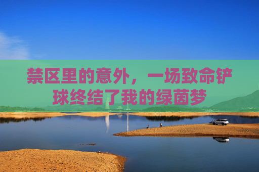 禁区里的意外,一场致命铲球终结了我的绿茵梦
