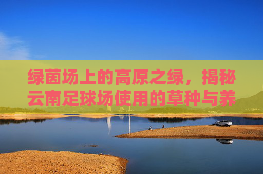 绿茵场上的高原之绿,揭秘云南足球场使用的草种与养护之道