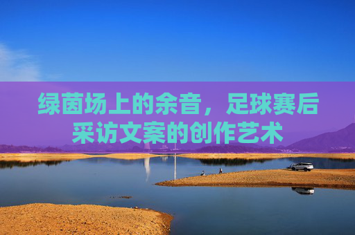 绿茵场上的余音,足球赛后采访文案的创作艺术