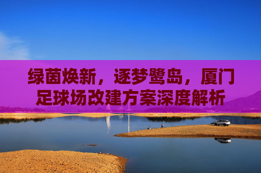 绿茵焕新,逐梦鹭岛,厦门足球场改建方案深度解析