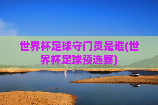 世界杯足球守门员是谁(世界杯足球预选赛)