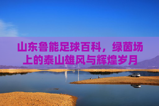 山东鲁能足球百科,绿茵场上的泰山雄风与辉煌岁月