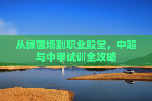 从绿茵场到职业殿堂,中超与中甲试训全攻略