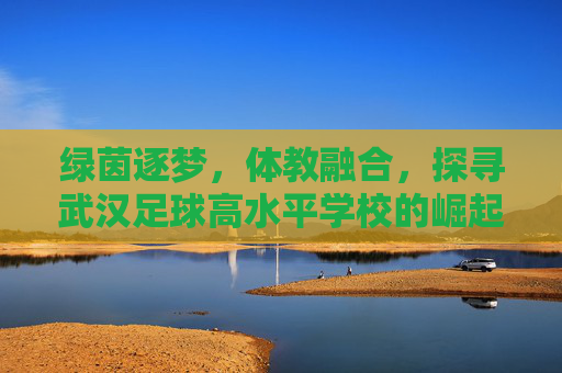 绿茵逐梦,体教融合,探寻武汉足球高水平学校的崛起之路