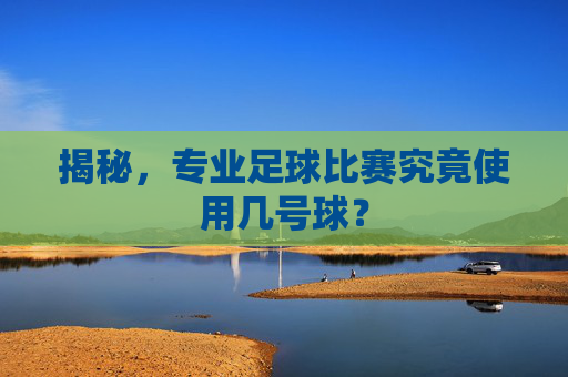 揭秘,专业足球比赛究竟使用几号球?