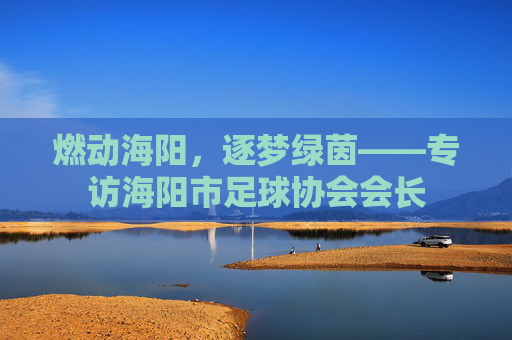 燃动海阳,逐梦绿茵——专访海阳市足球协会会长