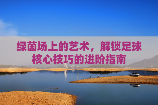 绿茵场上的艺术,解锁足球核心技巧的进阶指南