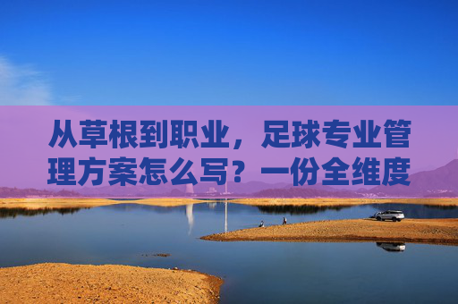 从草根到职业,足球专业管理方案怎么写?一份全维度的实战指南