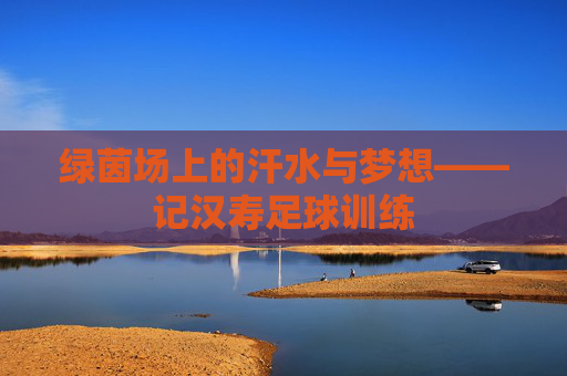 绿茵场上的汗水与梦想——记汉寿足球训练